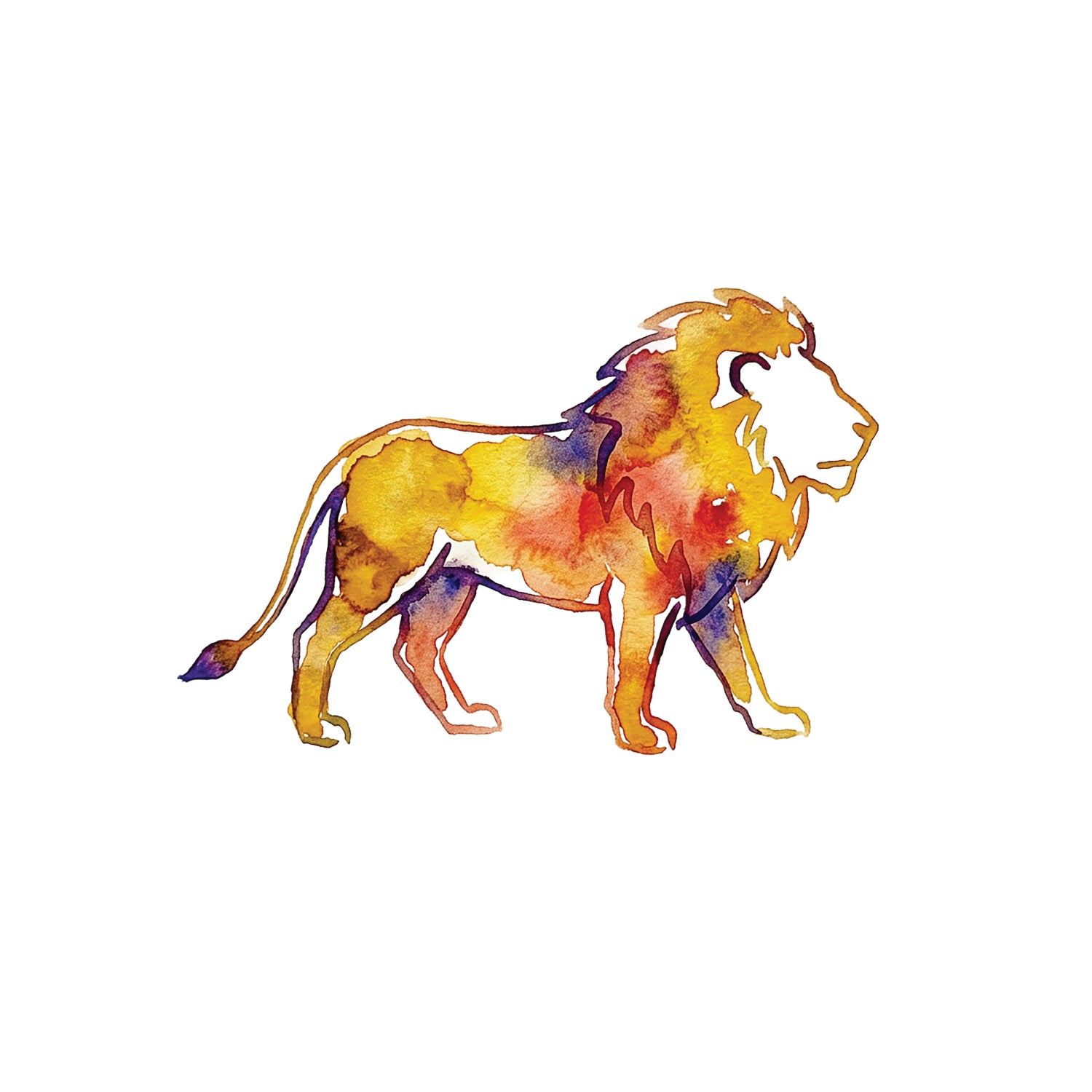 Colorful lion illustration on a white background